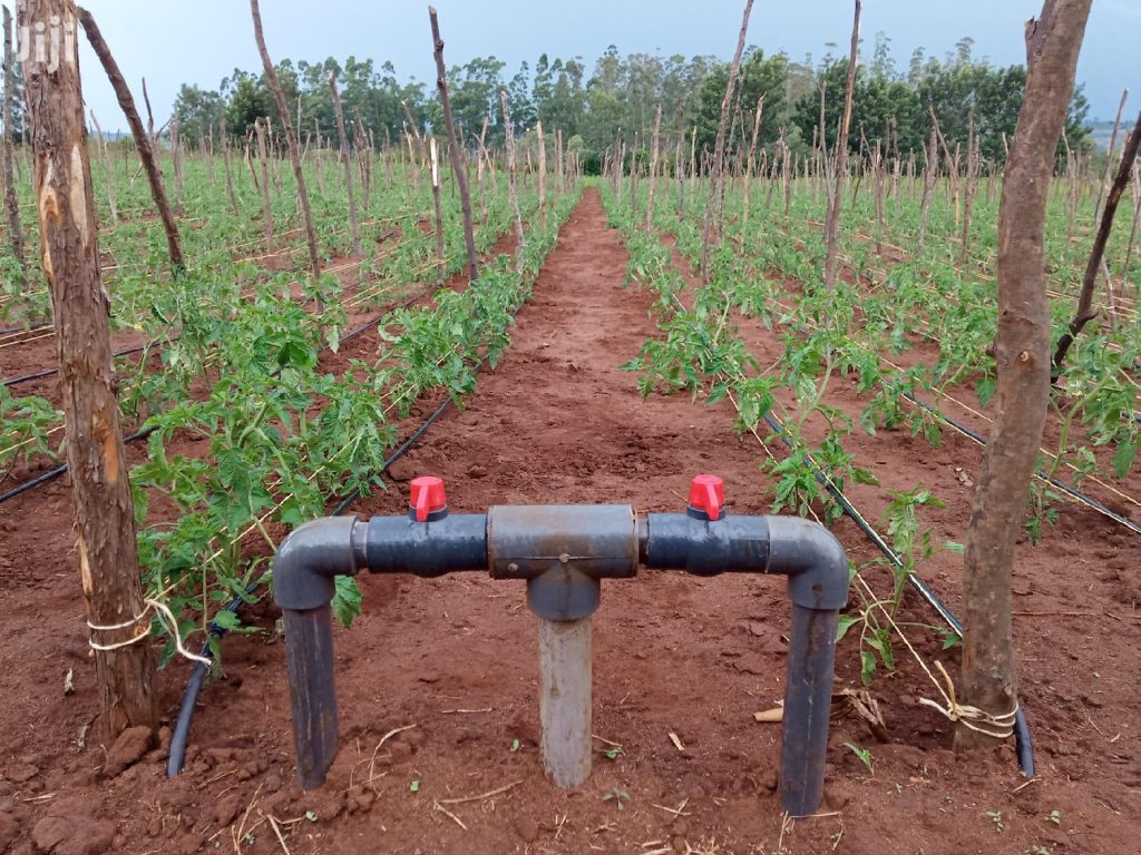 what-is-drip-irrigation-and-how-does-it-work-mazero-agrifood-company