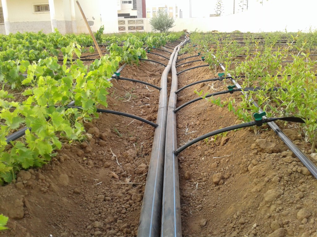 localized irrigation