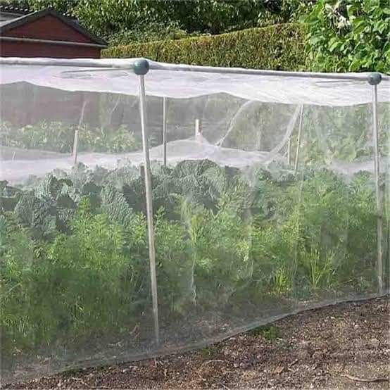6 Top Benefits of Using Anti-Insect Nets - Mazero agrifood company