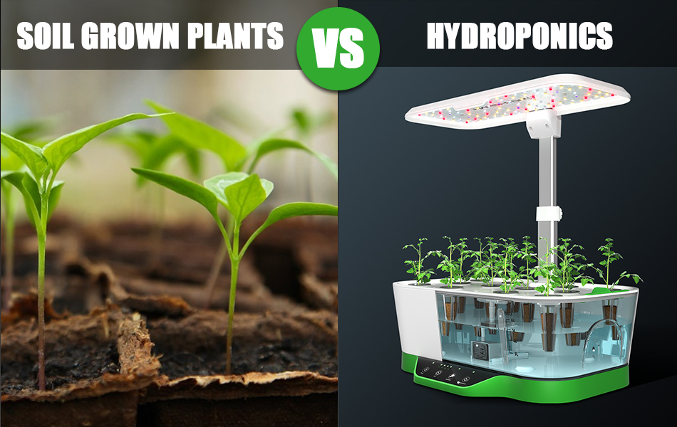 Assessing the Challenges and Limitations of Conventional Farming and Hydroponics